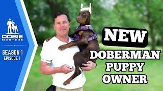 Cleo’s Training Begins | Dobie Masters (Season 1 Episode 1)