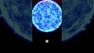 SUN vs. MOST MASSIVE STAR vs. LARGEST STAR