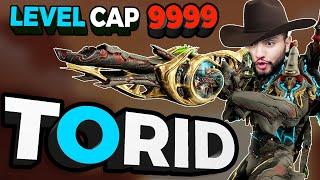 Broken TORID Incarnon Build | Melts Level Cap 9999 [Warframe]