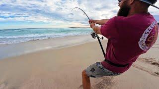 Beach Fishing for Sharks