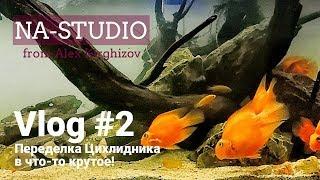 VLOG - Переделал цихлидник в открытый с живыми растениями/NA-STUDIO BOBRUISK