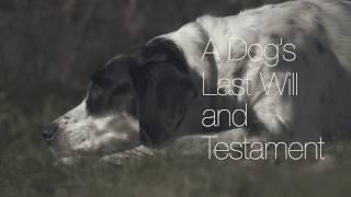 A dog's last will and testament