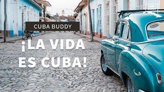 Cuba Buddy - ¡La Vida es Cuba!