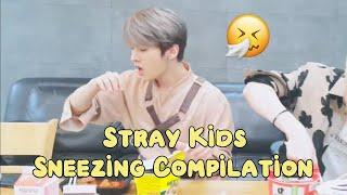 Stray Kids Sneezing Compilation