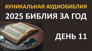 День 11. Библия за год. Библейский ультрамарафон портала «Иисус»