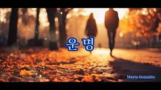 "운명" 조용한 템포의 K-트롯  보컬의 어울림이 좋은곡