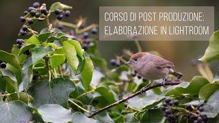 Corso di post produzione: elaborazione in Lightroom