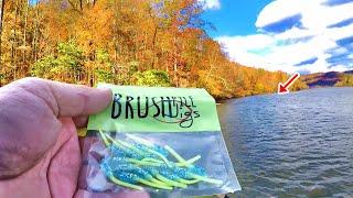 Let's Catch Some Crappie For Dinner! Easy Places To Catch Crappie