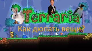 Как дюпать вещи в Террария? Dupe вещей в Terraria. Гайд.