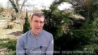 Приглашение на онлайн-курс "Создание сада с Сергеем Сидоренко"