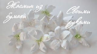 Цветы из бумаги своими руками. Жасмин. Скрапбукинг. Paper flowers