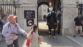 CHINESE KID OUT OF THE BOX #kingsguard