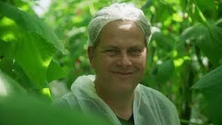Plant Empowerment in practice at BASF Vegetable Seeds