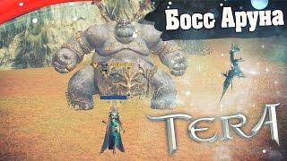 TERA online (RU) Достижения - Босс Аруна