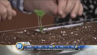 Seed starting with Frankie Flowers!