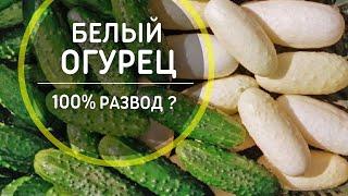 Бывают ли огурцы БЕЛЫМИ 100% обман !? Стоит ли доверять продавцам семян?