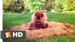 Caddyshack (1980) - How About a Nice, Cool Drink? Scene (3/9) | Movieclips