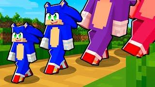 Minecraft, But Damage = More Tiny