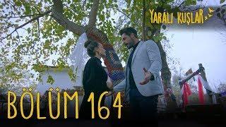 Yaralı Kuşlar 164. Bölüm