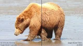 Mamma Bear Upscaling Comparison