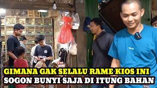 MAKIN TAMBAH RAME!!CEK HARGA BURUNG DIPASAR BURUNG PRAMUKA KIOS HAJI SUWARNO HARI INI