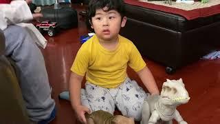 JDMAN kids Tyrannosaurus rex vs Indominous Rex