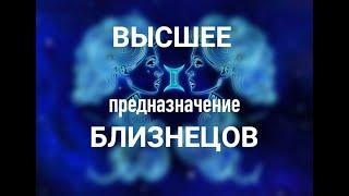 ВЫСШЕЕ ПРЕДНАЗНАЧЕНИЕ БЛИЗНЕЦОВ. Читаю на фоне мурлык.