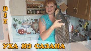 Уха из сазана