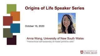 Hierarchical self-assembly of model primitive cells, Anna Wang, University of New South Wales