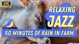 Relaxing Jazz Music in the Rain [4K] - 1001 Paws - Live Animal Shelter Cam