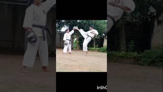 Gyaku Mawashi Geri practice #vairalshorts