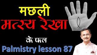 मछली के चिन्ह का विभिन्न पर्वतों पर फल || Fish sign in hand || हस्तरेखा Palmistry 87