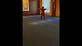 Wudang girl : chain whip ( 九节鞭 )