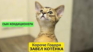 КОРОЧЕ ГОВОРЯ, Я ЗАВЕЛ КОТЕНКА - ТимТим.