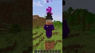 Minecraft 999 Witch vs Anvil  #minecraft