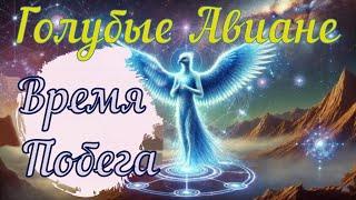 Голубые Авиане: Время Побега