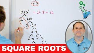 01 - Simplify Square Roots with Factor Trees in Algebra (Radical Expressions), Part 1