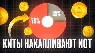 75% NOT в Одних руках!  Что будет с НОТКОИНОМ в 2025