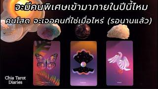 Pick a card จะมีคนพิเศษเข้ามาภายในปีนี้มั้ย คนโสดจะเจอคนที่ใช่เมื่อไหร่   