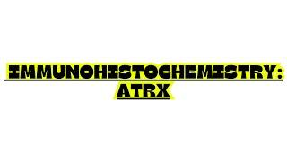 IMMUNOHISTOCHEMISTRY: ATRX