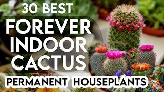 30 best indoor cactus plants for home | permanent indoor cactus | cactus identification