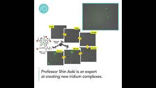 How can we light up the world with iridium complexes?
