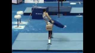 Max Whitlock PH AA Euro 2013, Moscow