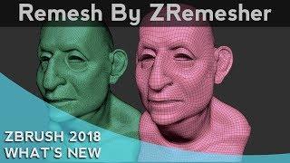 035 ZBrush 2018 Remesh By ZRemesher