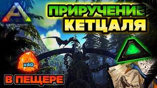 ЛУЧШЕЕ ПРИРУЧЕНИЕ КЕТЦАЛЯ В ARK MOBILE! ГАЙД #ark #arkmobile #арк #аркмобайл #выживание #приручение