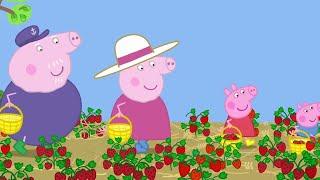 Peppa Pig Picks Strawberries!