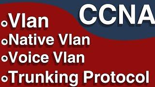 CCNA_Vlan,Native vlan,Voice vlan,trunking protocol