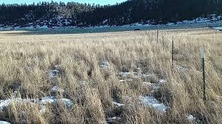 Springtime Montana on the Yellowstone
