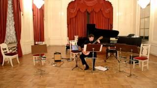 Steve Reich - Electric Counterpoint (excerpt) plays by Anton Glushkin