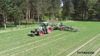 TRV SWINGKING / INTER-ROW CULTIVATOR / ROW DISTANCE 25CM / GRAIN